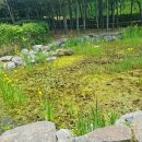 서울상지초등학교 이미지