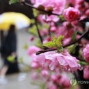 서쪽 이미지