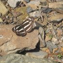 봉래산로 이미지