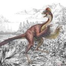 치킨의발견 이미지