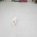 호텔욜로 이미지
