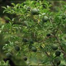 남해우리집 이미지