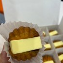 벤티프레소시티렉스