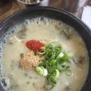 늘봄농장 | 1월 제주도 2박3일 코스추천 겨울 제주도 추천 여행