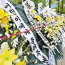 비거주 1주택 세금 폭탄에… 학군지 전세살이 '맹모'들이 운다 이미지