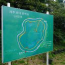 토종흑염소 이미지