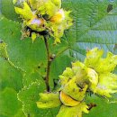 천연비누와 화장품(상당) 이미지