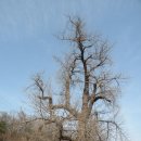 뇌조3리 이미지