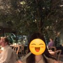 파인힐즈 | 시드니 써리힐즈 현지인 맛집 NOUR(누어) 내돈내산 후기, 예약 링크