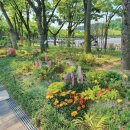 새꿈어린이공원 이미지