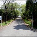 장군산 둘레길 이미지