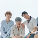 위너에코