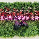 이엘평생교육원