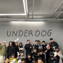 언더독 복싱 이미지