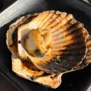 해수욕장 남자전용 화장실 | [을왕리역 맛집 - 조개부심] 신선하고 맛있었던 조개구이 무한리필 내돈내산 솔직후기