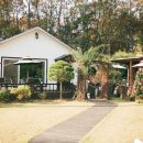 카페하애 이미지