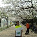 군산월명종합경기장실내게이트볼장 | 군산마라톤 (2016.4.1)