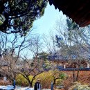 경남 산청 여행 한국의 가장 아름다운마을 남사예담촌