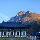 약수천 | ​백학봉 아래, 천년의 숨결을 간직한 백양사 대웅전