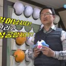 삼일건축인력공사 이미지