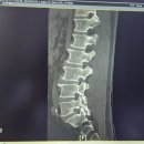 명인한방병원 이미지