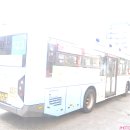 하단동1100 이미지