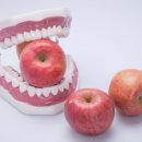 야탑1동 이미지