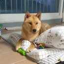 도진농장 이미지