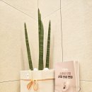 바른보청기 - 수원시 장안구 장안로 78 | 송파보청기 거품 빼고 정직한 단가로 구매하는 곳