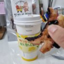 찡보네징어 이미지