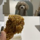 찐후기! 혼밥 추천! 밥집 맛집 방문기! 삼청동국수 인천논현역점 _ 멸치국수, 돈까스, 유부초밥, 칼국수