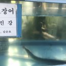 임진강민물장어 이미지