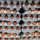 대내농장 이미지