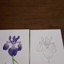 삼죽작은도서관 이미지