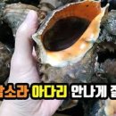 소라숙회 소라삶는법 소라 비빔국수 만드는법 이미지