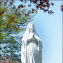 바람처럼구름처럼 이미지