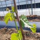 산새농원 이미지