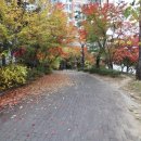 신흥101동 이미지