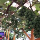 펜션갈까요 이미지