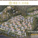 메종드하우스