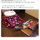 코타츠 - 안성시 중앙로 274-26 | 코타츠