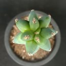 용비농장 이미지