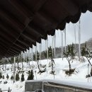 공주 밤나무골 황토집 | 충청도 공주 가족여행 에어비앤비 숙소 추천 공주 밤나무골 황토 시골집