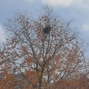 세찬농장 이미지