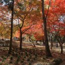 모악산 일주문 이미지