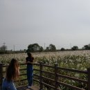 황구지천 이미지