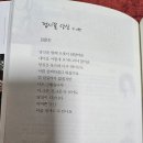 파란광고 티스토리