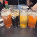 [을지로 맛집] 수제 맥주 힙지로 분위기 맥파이 내돈내산 후기