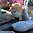 축복세탁소 이미지