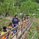 궁전어린이집 이미지